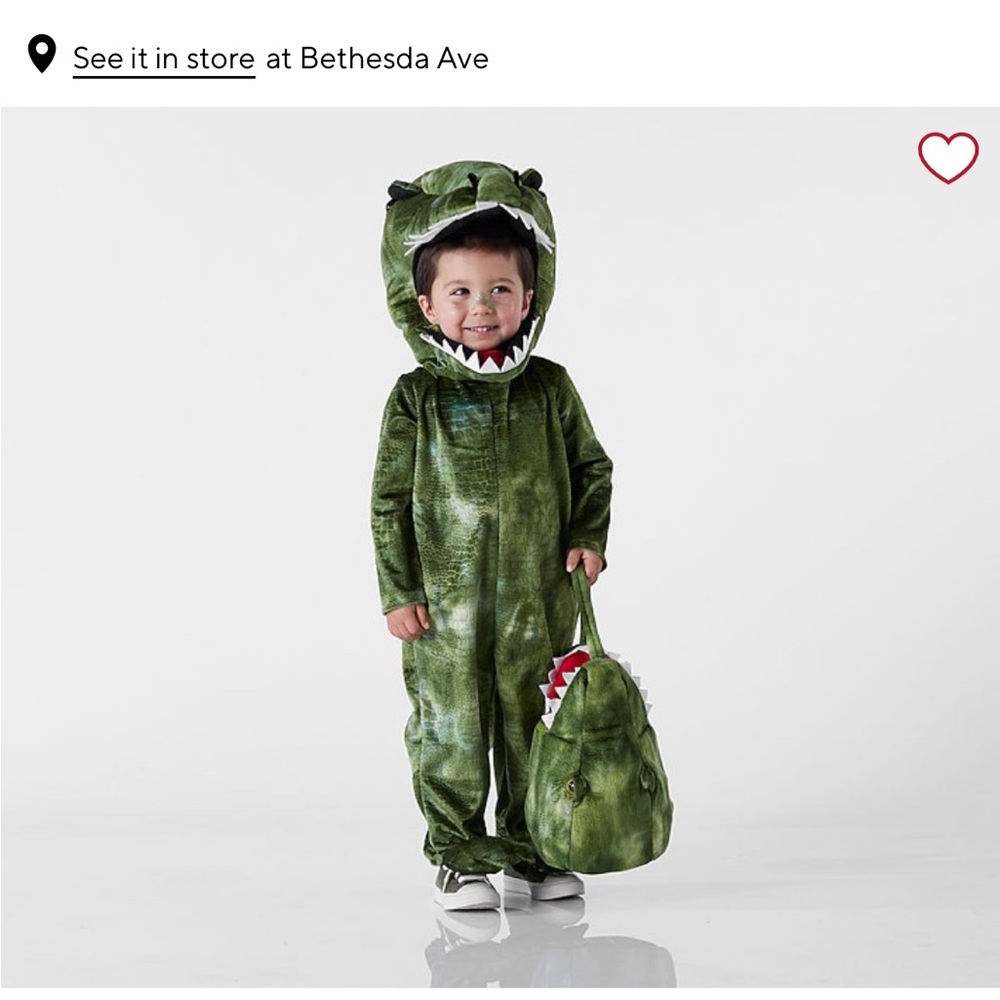 NWT Pottery Barn Kids T-Rex Costume
